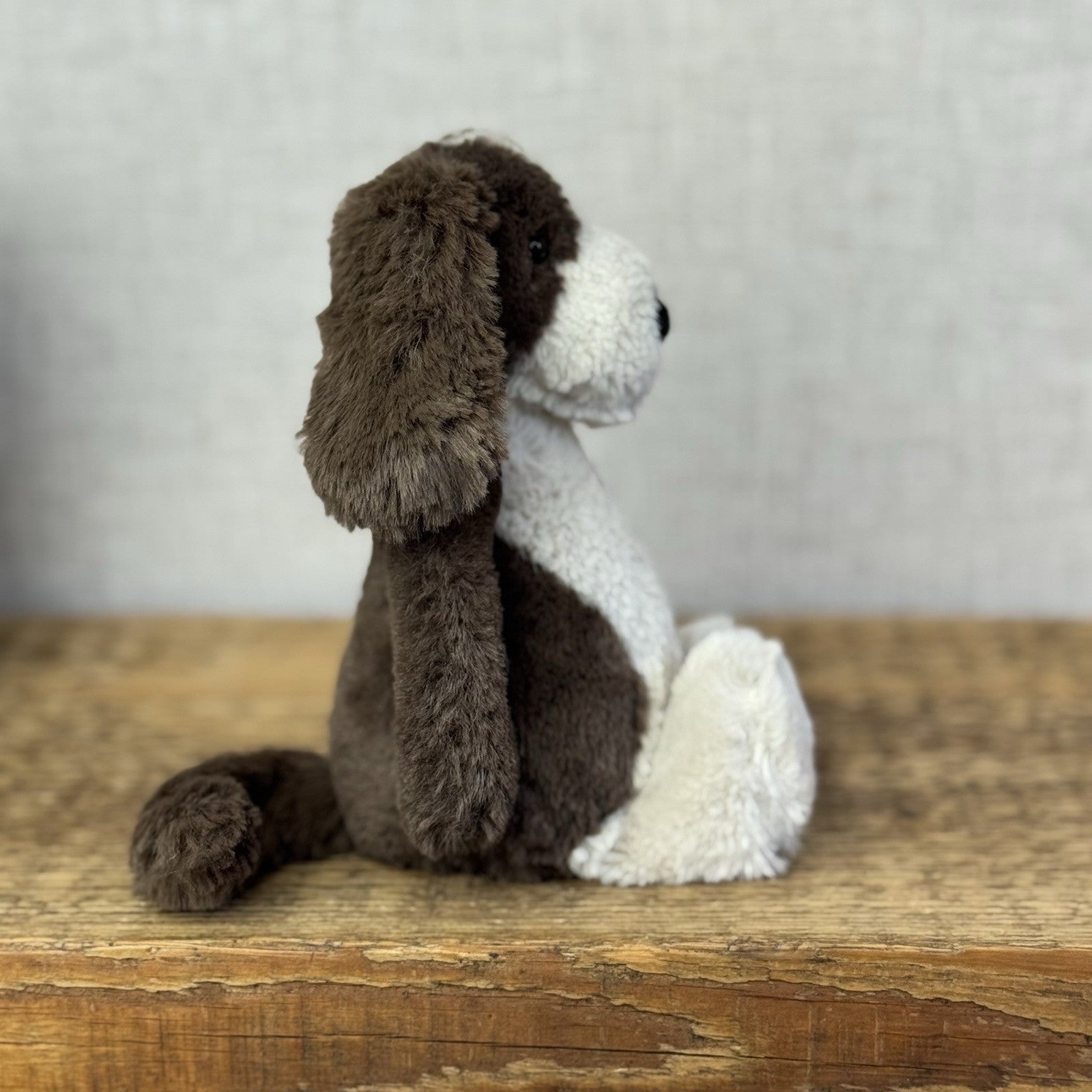 Jellycat Small Bashful Fudge Puppy - Brown Spaniel Bashful Dog Beanie Plush 8"