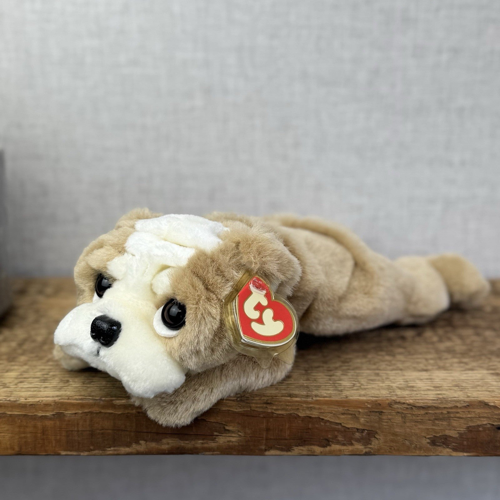 Ty Classic Beanie Buddies Churchill Bulldog Puppy Dog - Wrinkly Dog Pristine New
