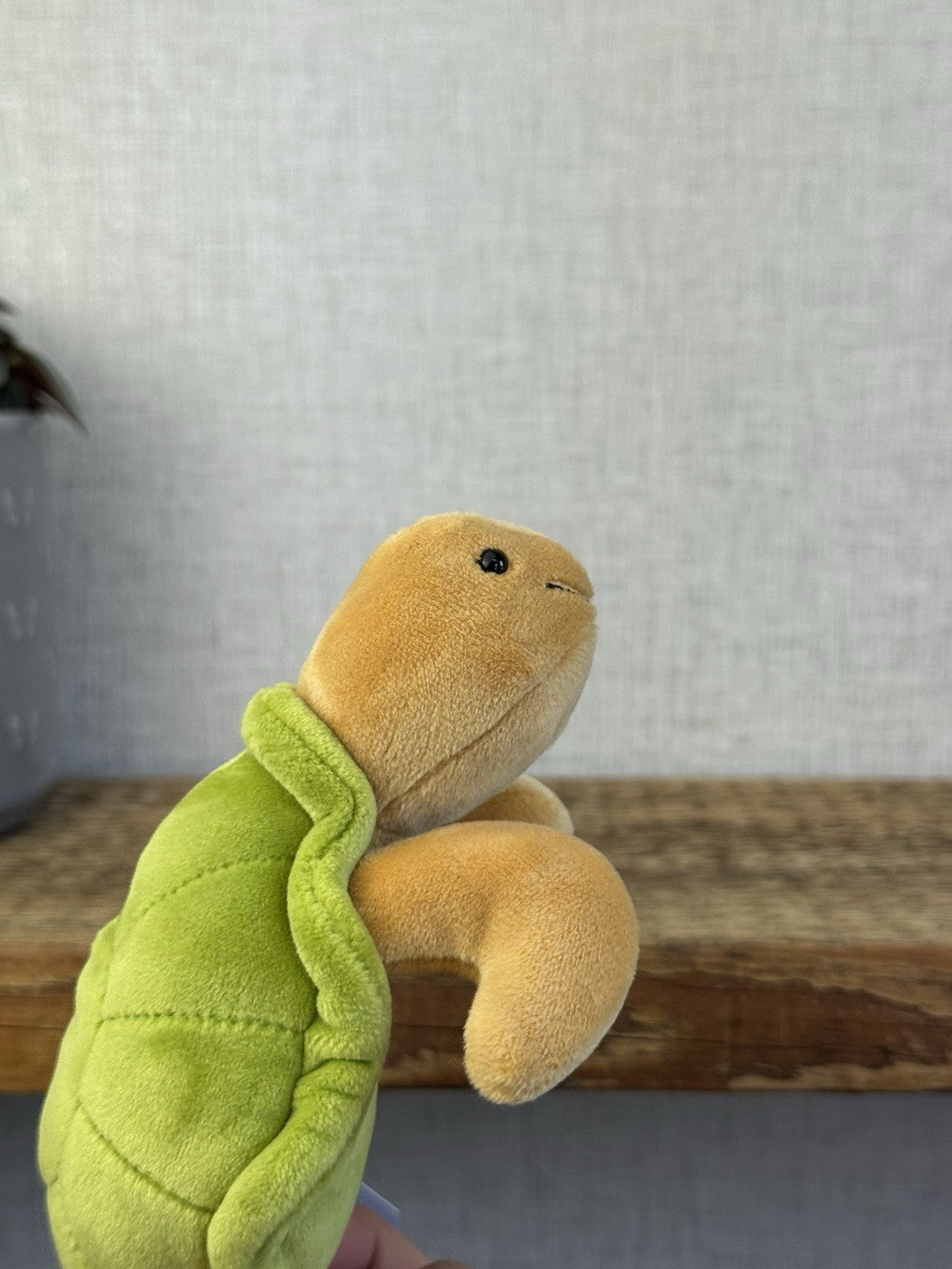 Jellycat Small CeeCee Turtle - Small Green Velour Turtle Beanie retired 6” (#2)