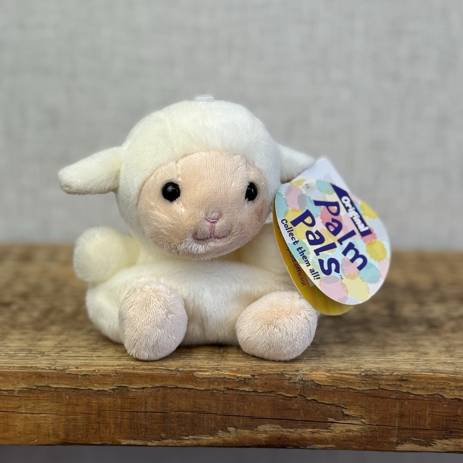 Aurora - Palm Pals Mini Beanbag Plush Wolly Lamb BNWT 5"