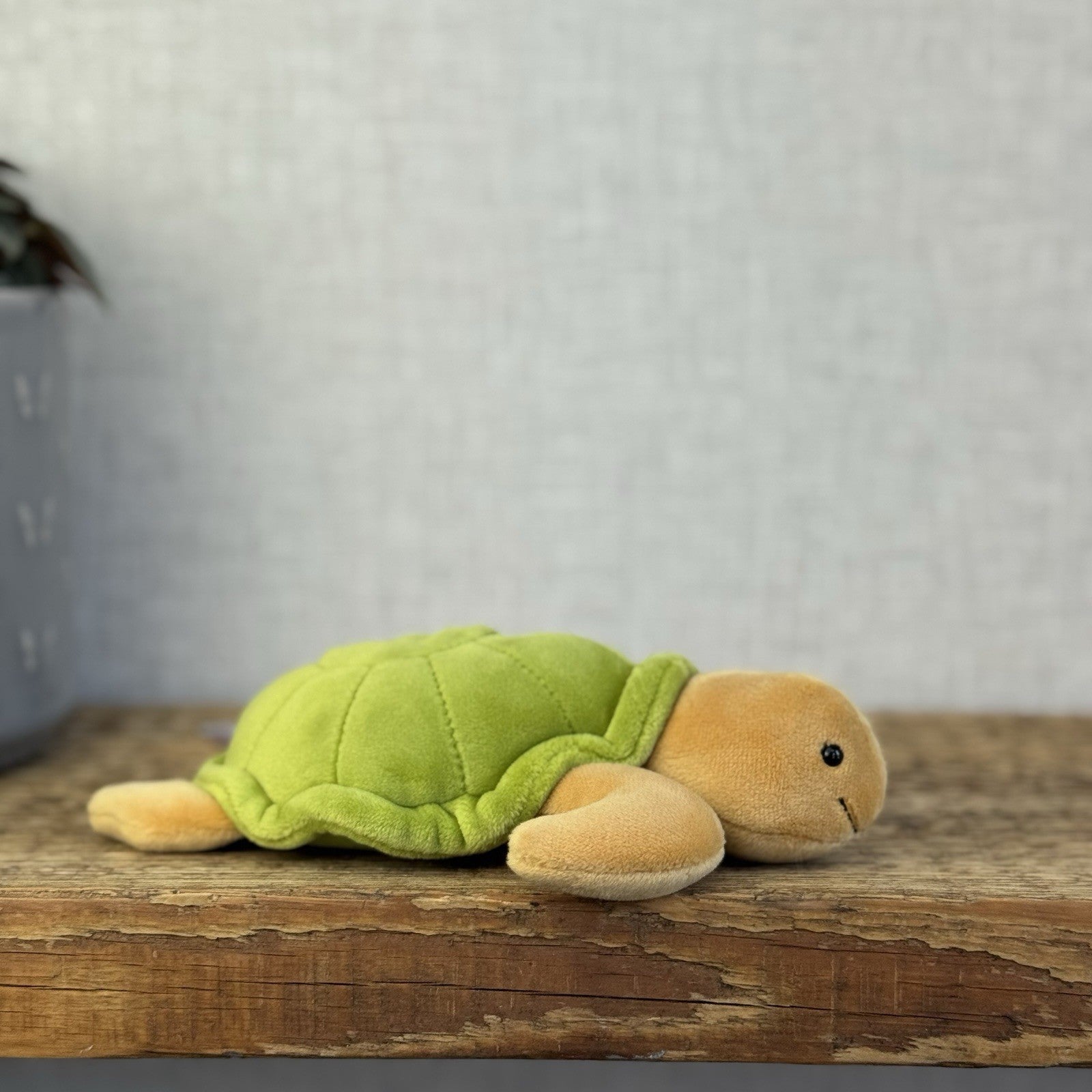 Jellycat Small CeeCee Turtle - Small Green Velour Turtle Beanie retired 6” (#2)