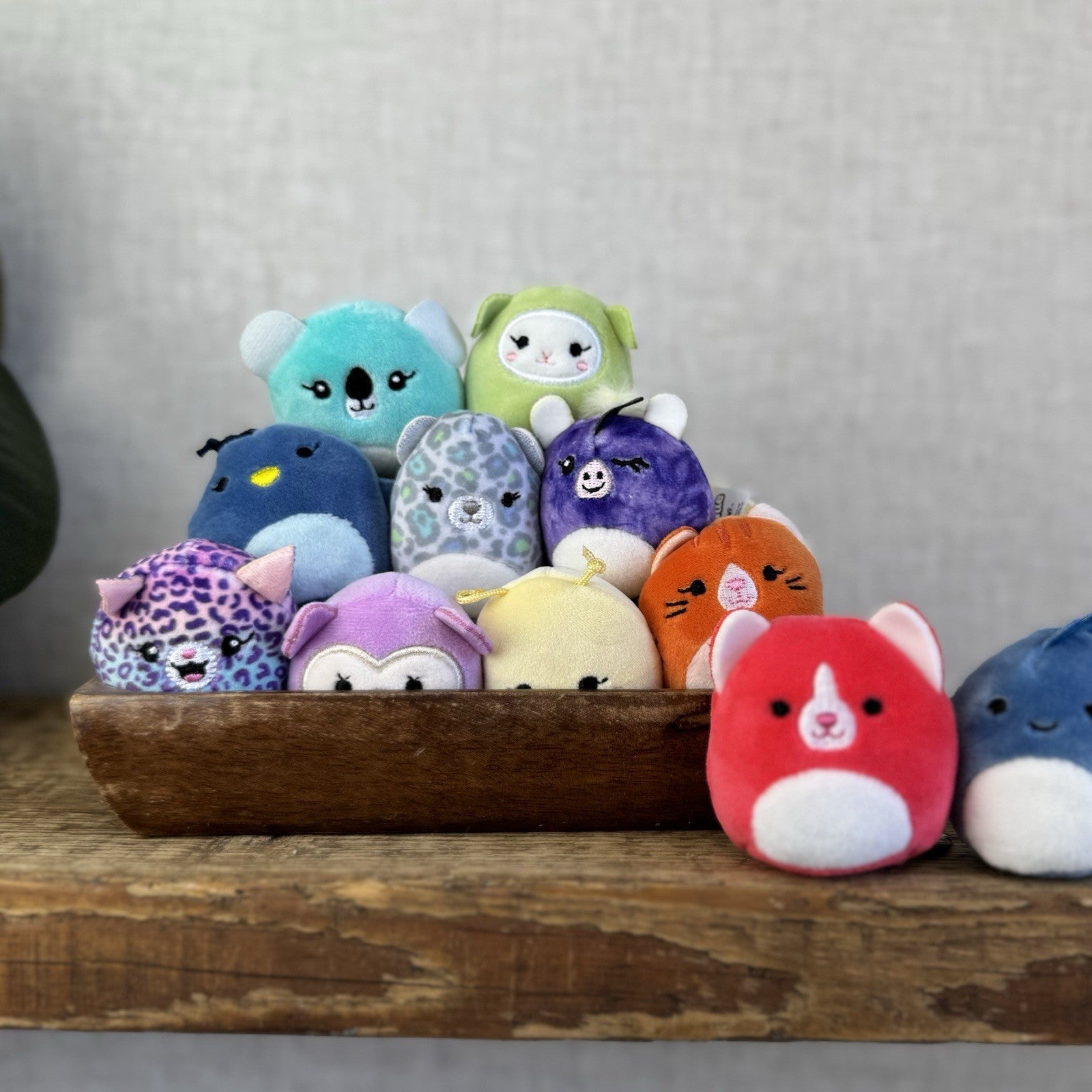 Squishmallow Squishville Bundle x12 - Mixed Bundle Tiny Squishmallow 2" Bright