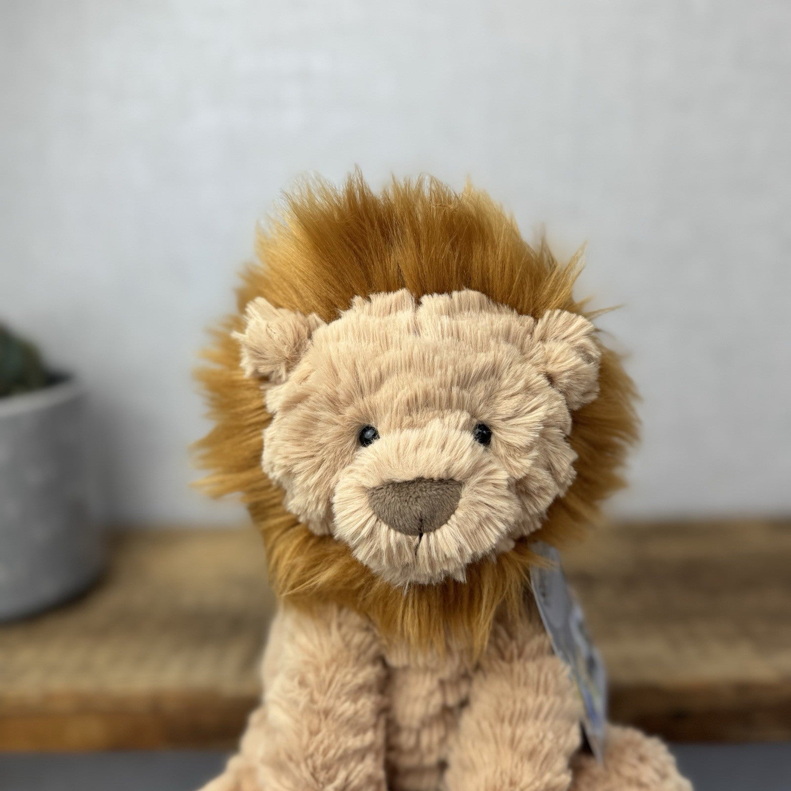 Jellycat Medium Fuddlewuddle Lion - Textured Sitting Lion Beanie Soft Toy 9”