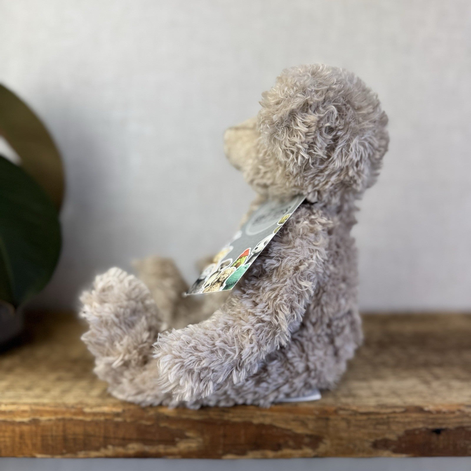 The Little White Company Bear - Traditional Beige Bear (Jellycat Collab) 10”