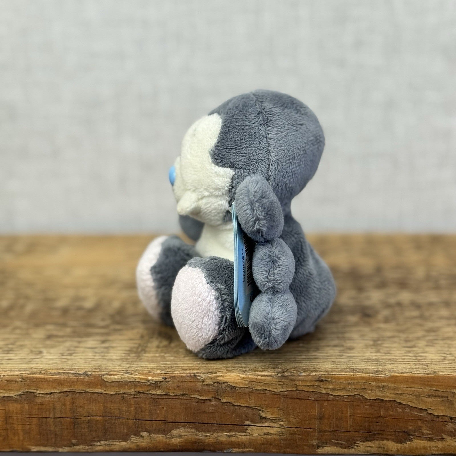 Blue Nose Friends Spider Webster - Mini Beanie Cute Spider Plush NWT #52