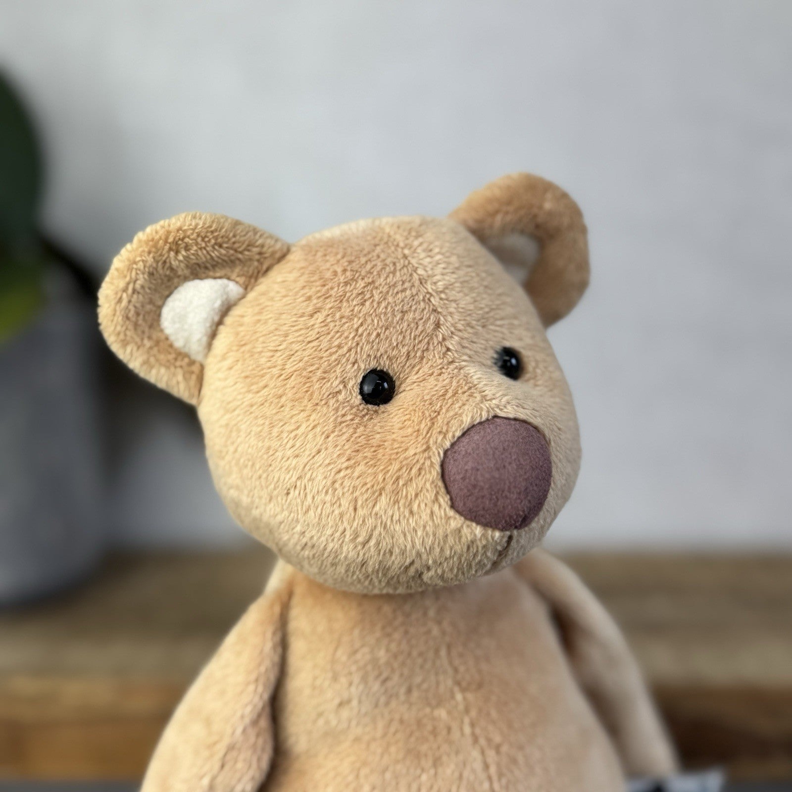 Jellycat JellyKitten Traditional Teddy Bear Beige Tan New Without Tags 12” Rare