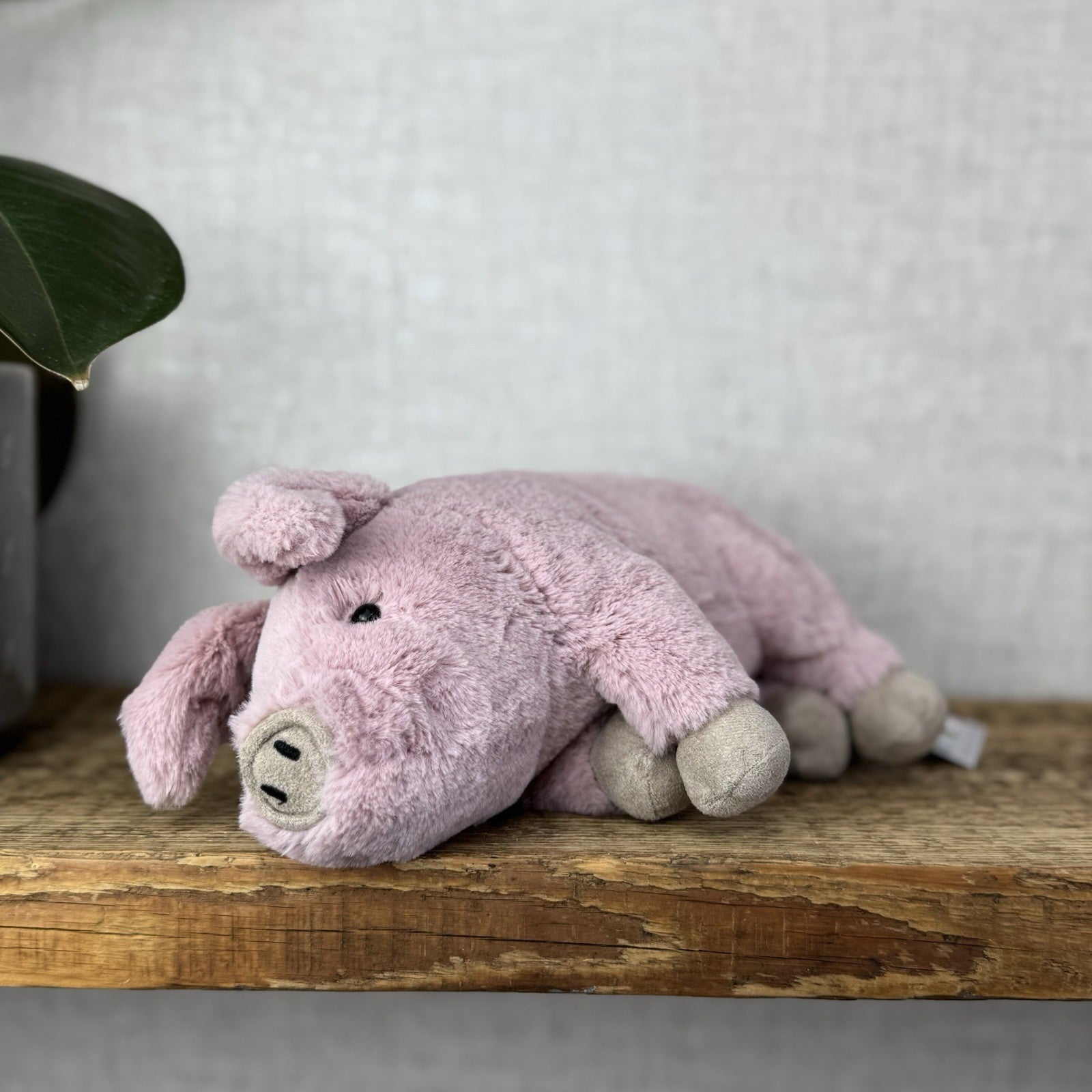 Jellycat Small Parker Piglet - Small Retired Pig Soft Toy Beanie Pink Piglet 8"