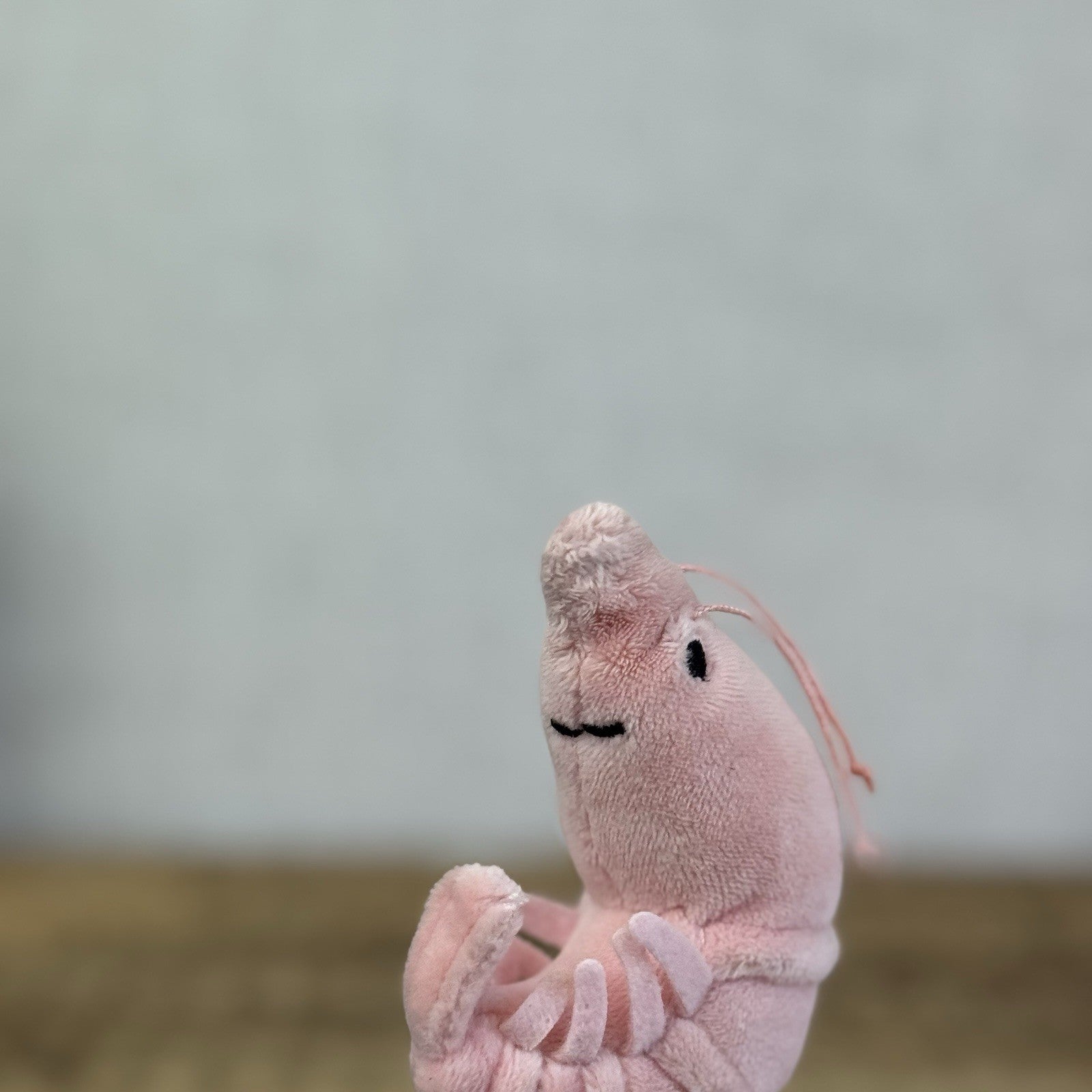 Jellycat Sensational Seafood Shrimp - Small seafood Play Toy Retired 4"