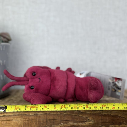 Jellycat Love Me Lobster - Red Heart Claws - Jellycat Lobster Gift 8” (#2)