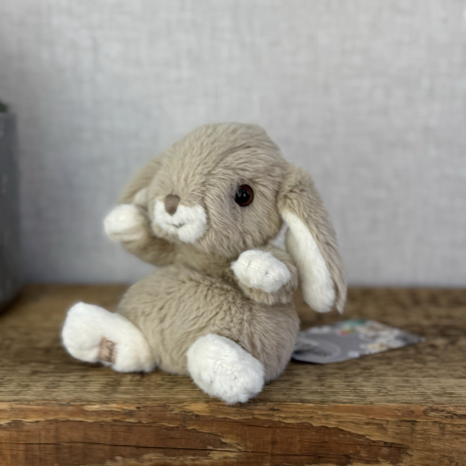 Barbara Bukowski Kanini Bunny Rabbit - Soft Toy Kanini Bunny Small Taupe Brown