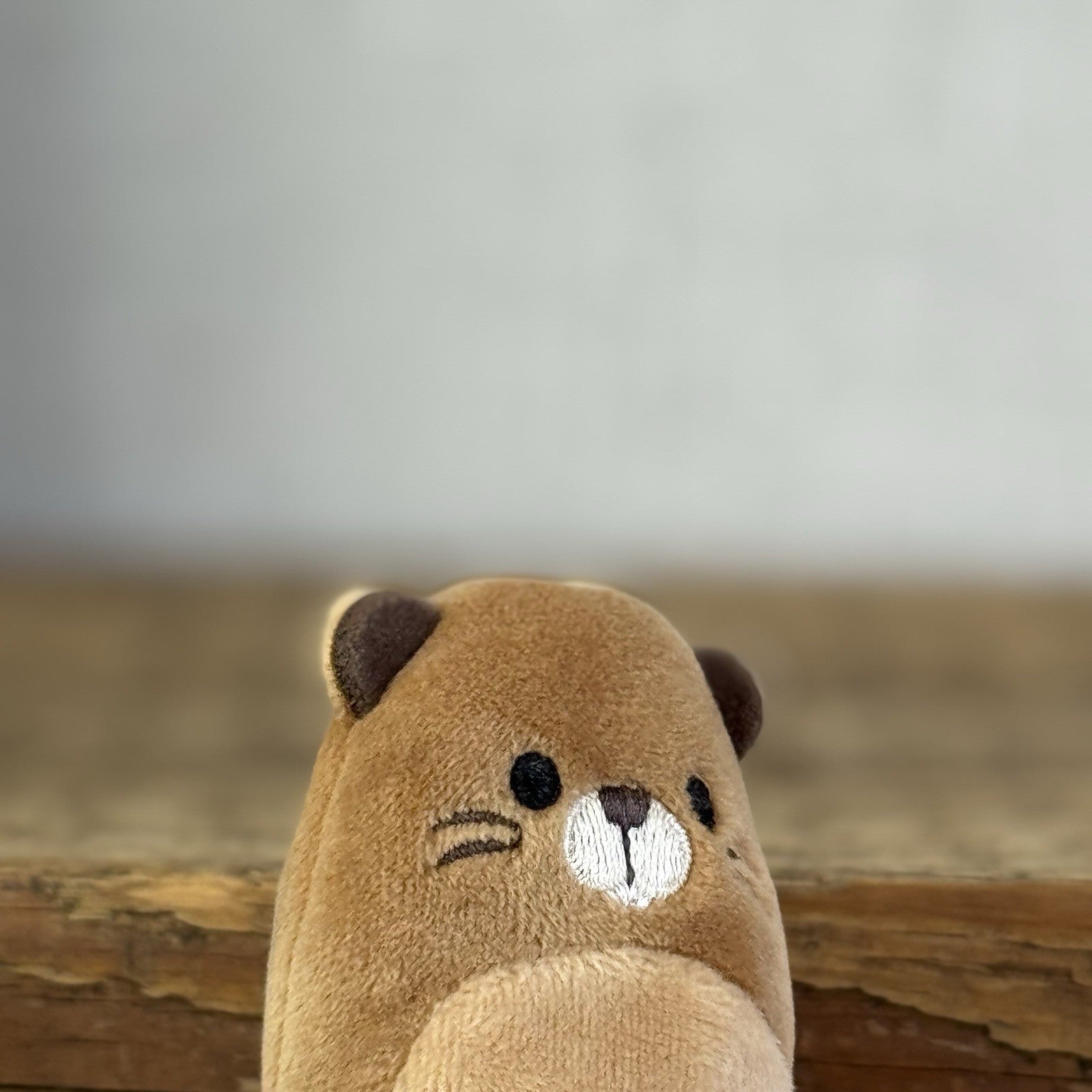 Squishmallow Squishville - (Multi Buy Discount)