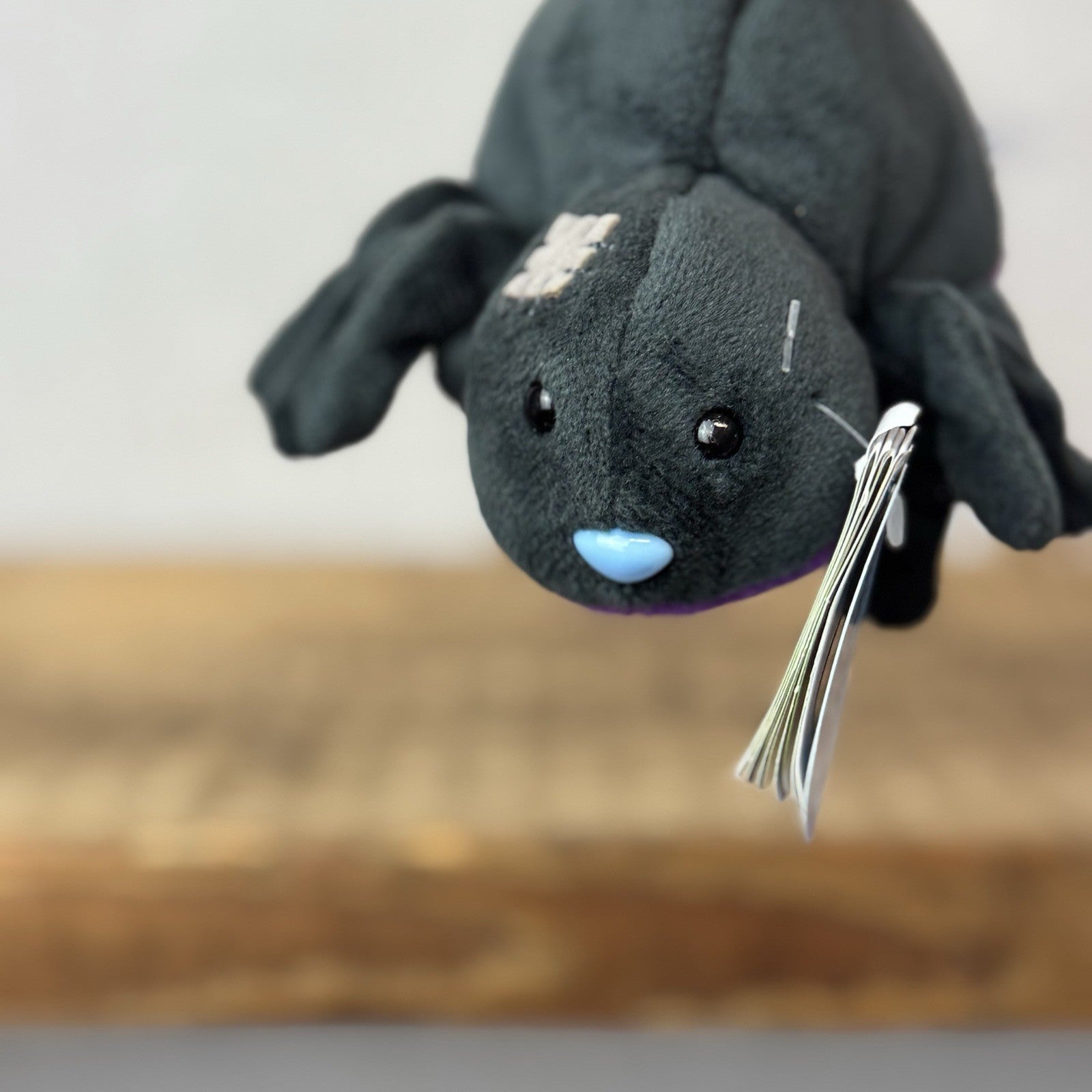 Blue Nose Friends Limited Edition Spiderella #56 Black Spider Mini With Tags 