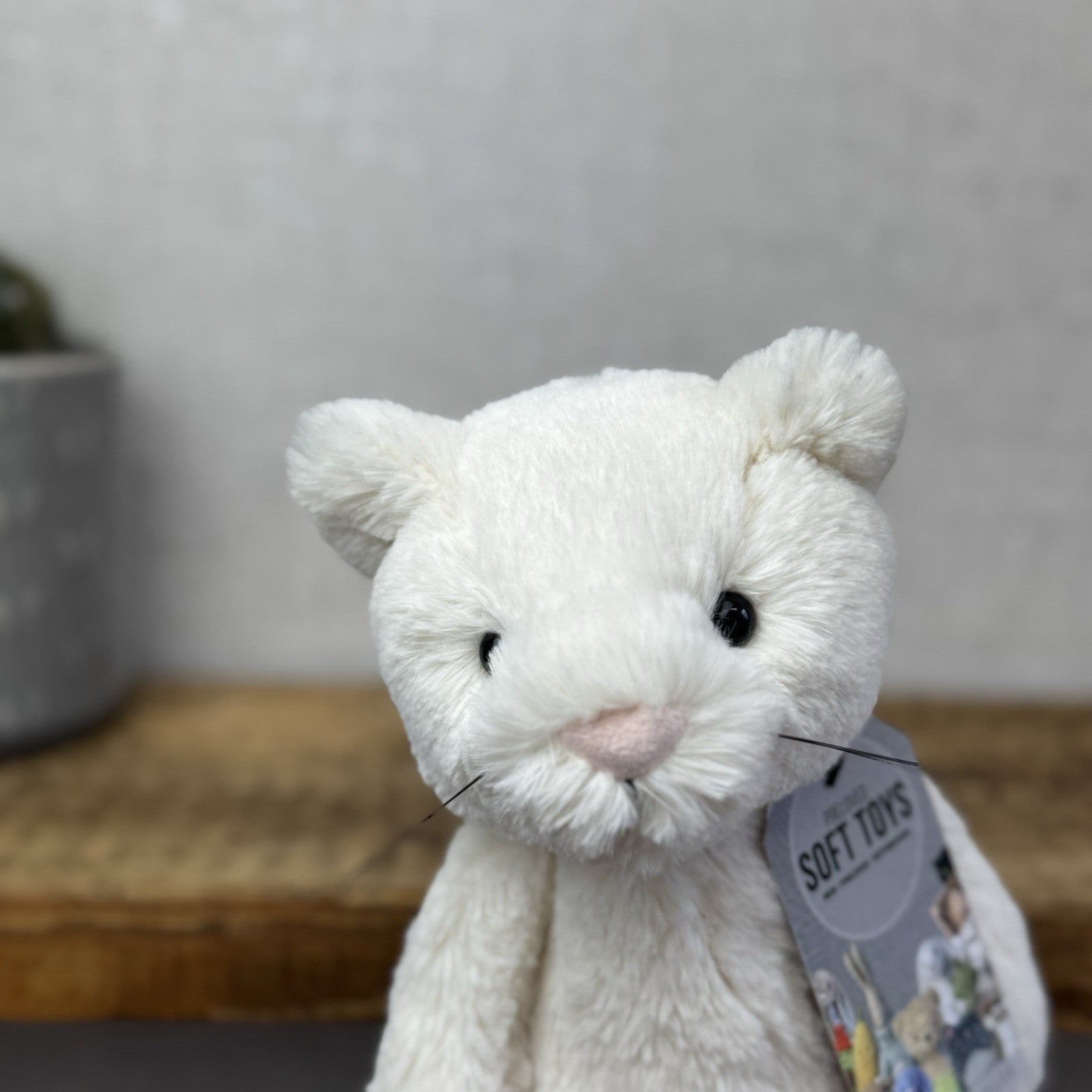 Jellycat Medium Bashful Cream Cat Kitten - Cream Cat With Whiskers Retired 12”