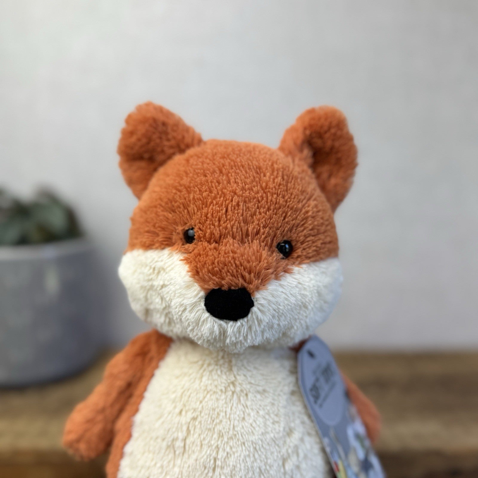 Jellycat Peanut Fox - Medium Peanut Scruffy Small Chubby Red Fox Beanie 12"
