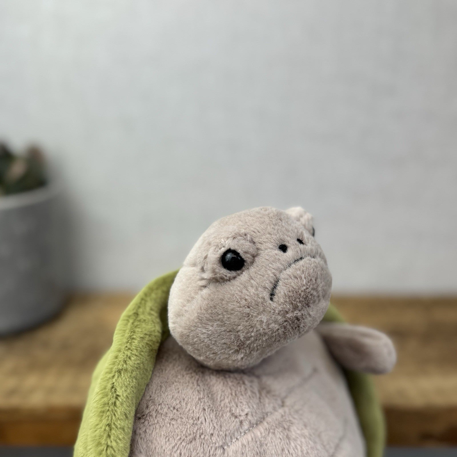 Jellycat Timmy Turtle - Grumpy Turtle Soft Toy (With Tags) Beanie Turtle 12"