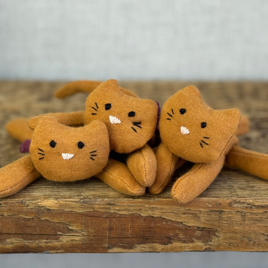 Cozy Kitten Ginger - Available Friday 4th July
