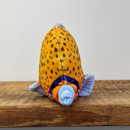 Jellycat Fishiful Orange NWT