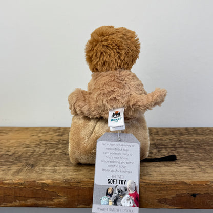Jellycat Fuddlewuddle Lion Soother