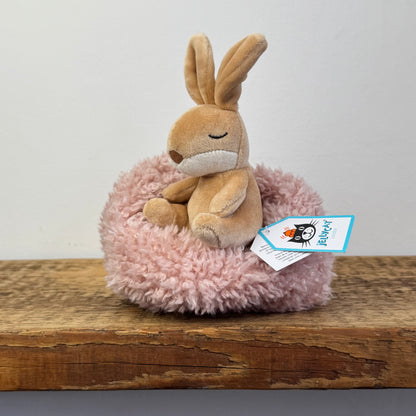 Jellycat Hibernating Bunny NWT