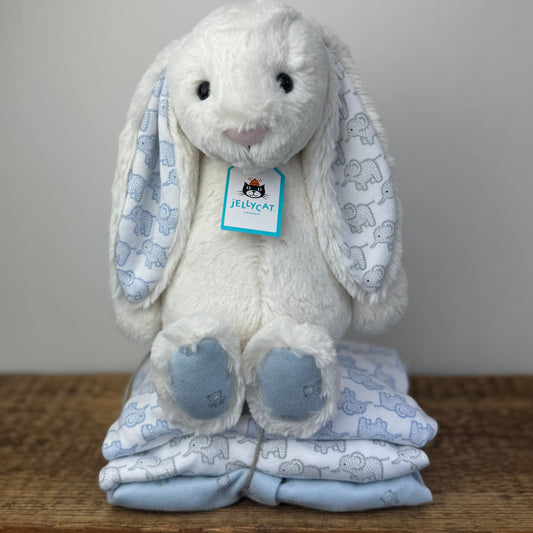 Memory Bunny Soft Toy