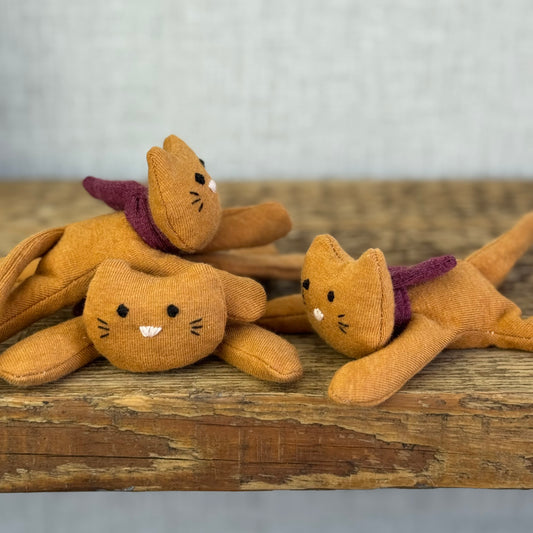 Cozy Kitten Ginger - Available Friday 4th July
