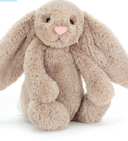 Memory Bunny Soft Toy