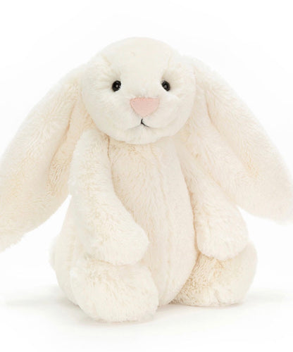Memory Bunny Soft Toy