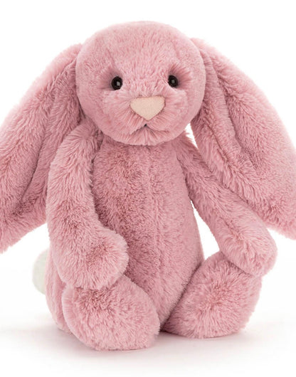 Memory Bunny Soft Toy