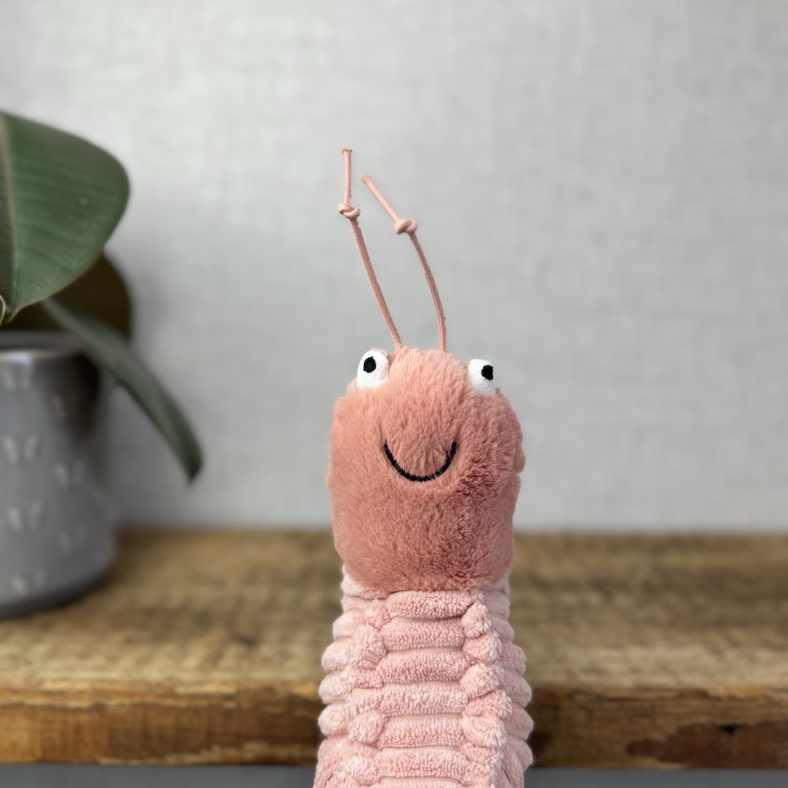 Jellycat Sheldon Shrimp Soft Toy -  Pink Prawn Sea Creature Beanie Plush 8” (#2)