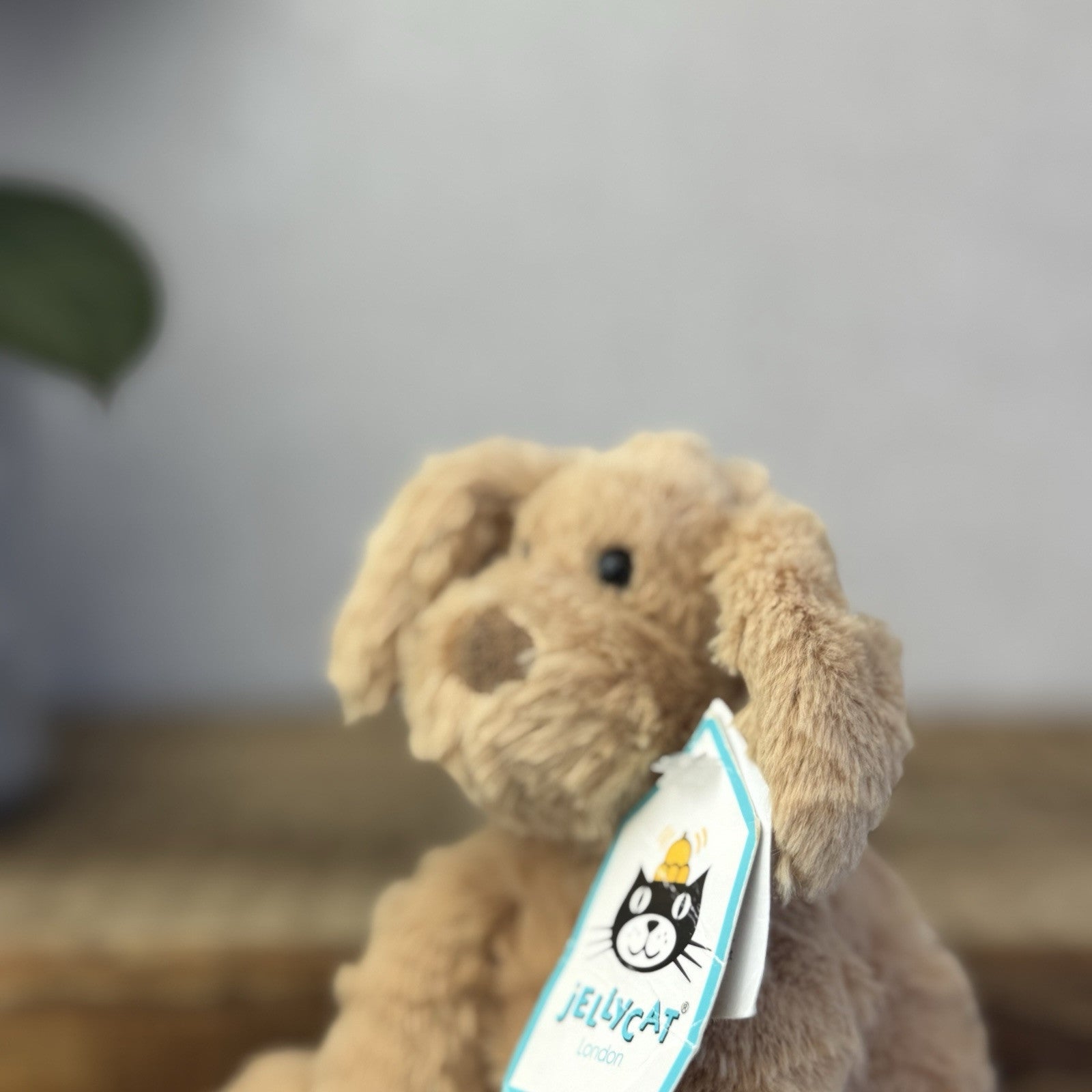Jellycat Baby Fuddlewuddle Puppy - Tiny Fuddlewuddle Dog Puppy With Tags 5”