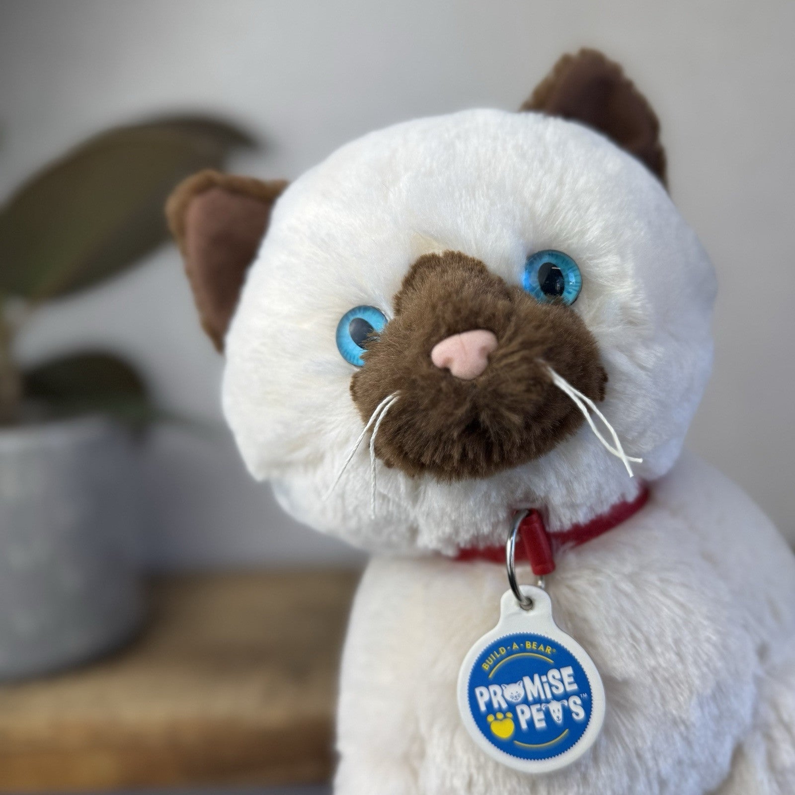 Build A Bear Hello Promise Pets Ragdoll Cat New Without Tags 2016 White/Brown