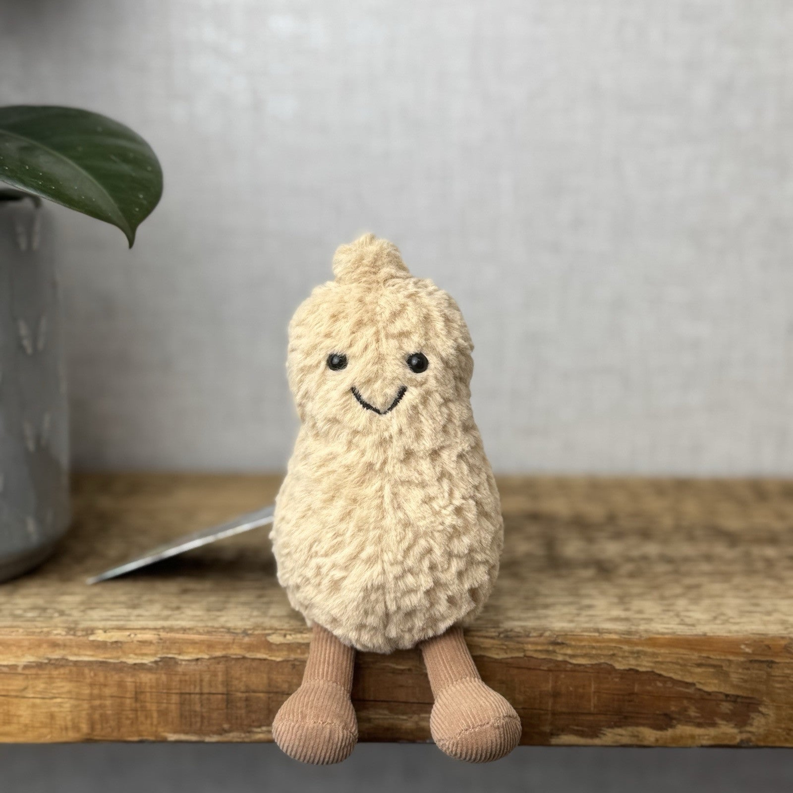 Jellycat Amuseable Peanut - Small Soft Toy Peanut Plush Beanie Tiny Nut 6”