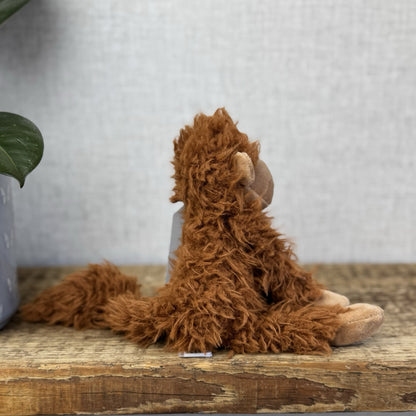 Jellycat BonBon Monkey - Brown Small Fluffy Monkey Soft Toy - Fluffy Monkey 10”
