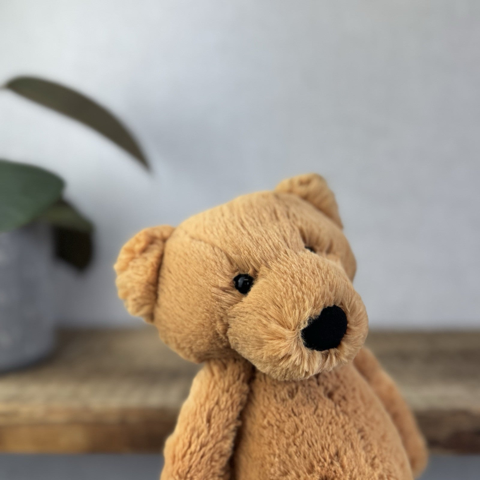 Jellycat Bashful Bear - Medium Brown Bashful Bear - Retired Bear With Tags 12”