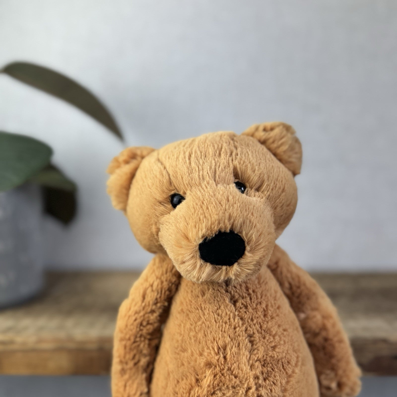 Jellycat Bashful Bear - Medium Brown Bashful Bear - Retired Bear With Tags 12”