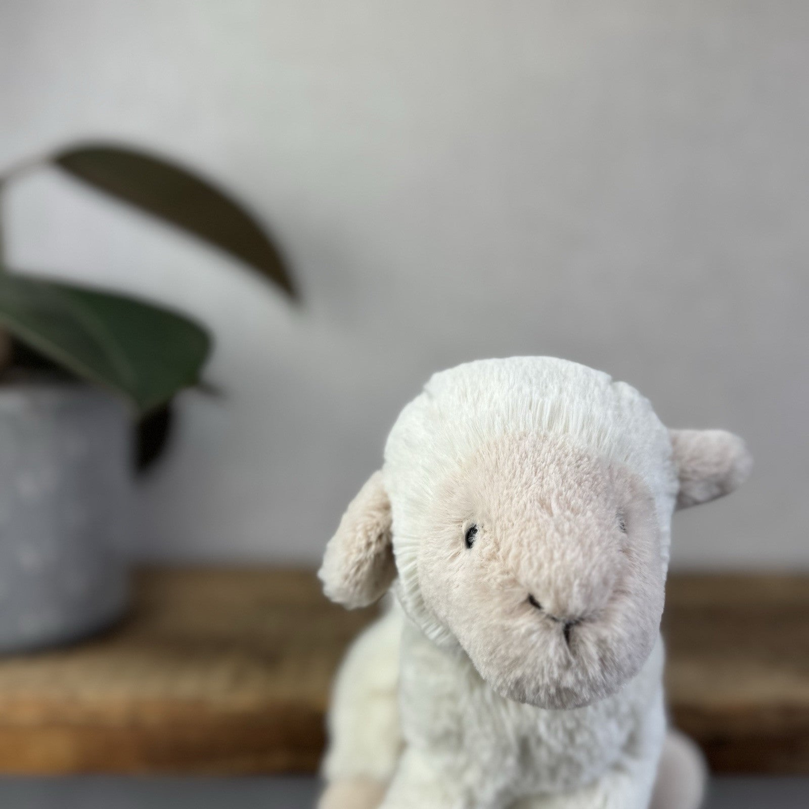 Jellycat Lovely Lamb Soft Plush Cuddly Sheep Retired Small Cream Sheep 8”