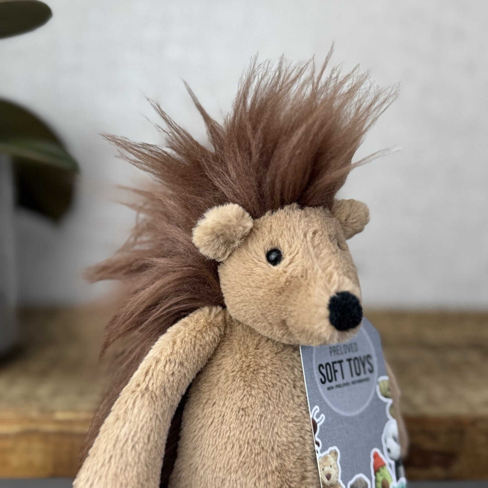 Jellycat Small Bashful Spike Hedgehog - Fluffy Beanie Woodland Hedgehog Rare 8”