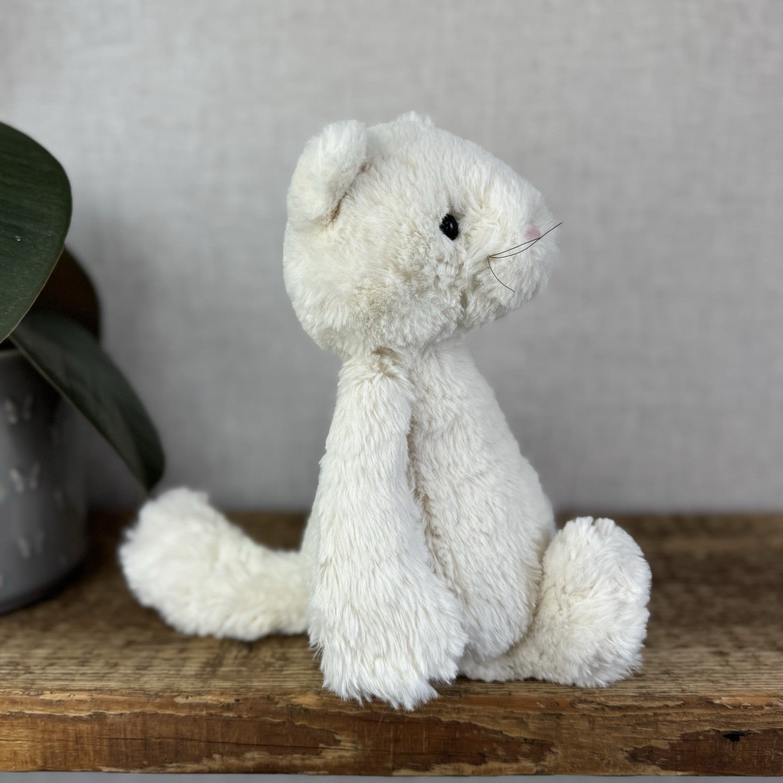 Jellycat Medium Bashful Cream Cat Kitten - Cream Cat With Whiskers Retired 12”