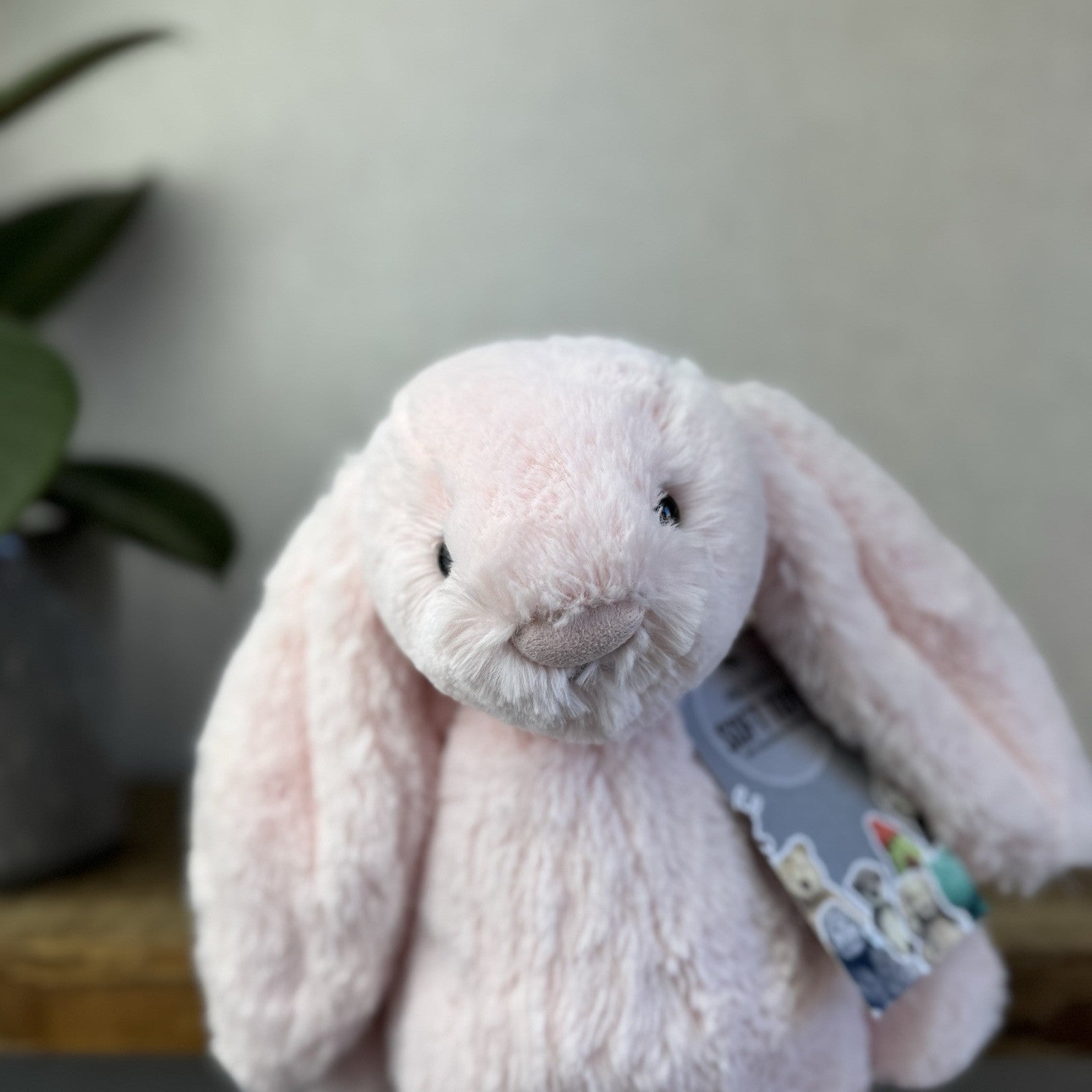 Jellycat Medium Bashful Pink Bunny - Light Pink Baby Pink Bunny Soft Toy 12” (2)
