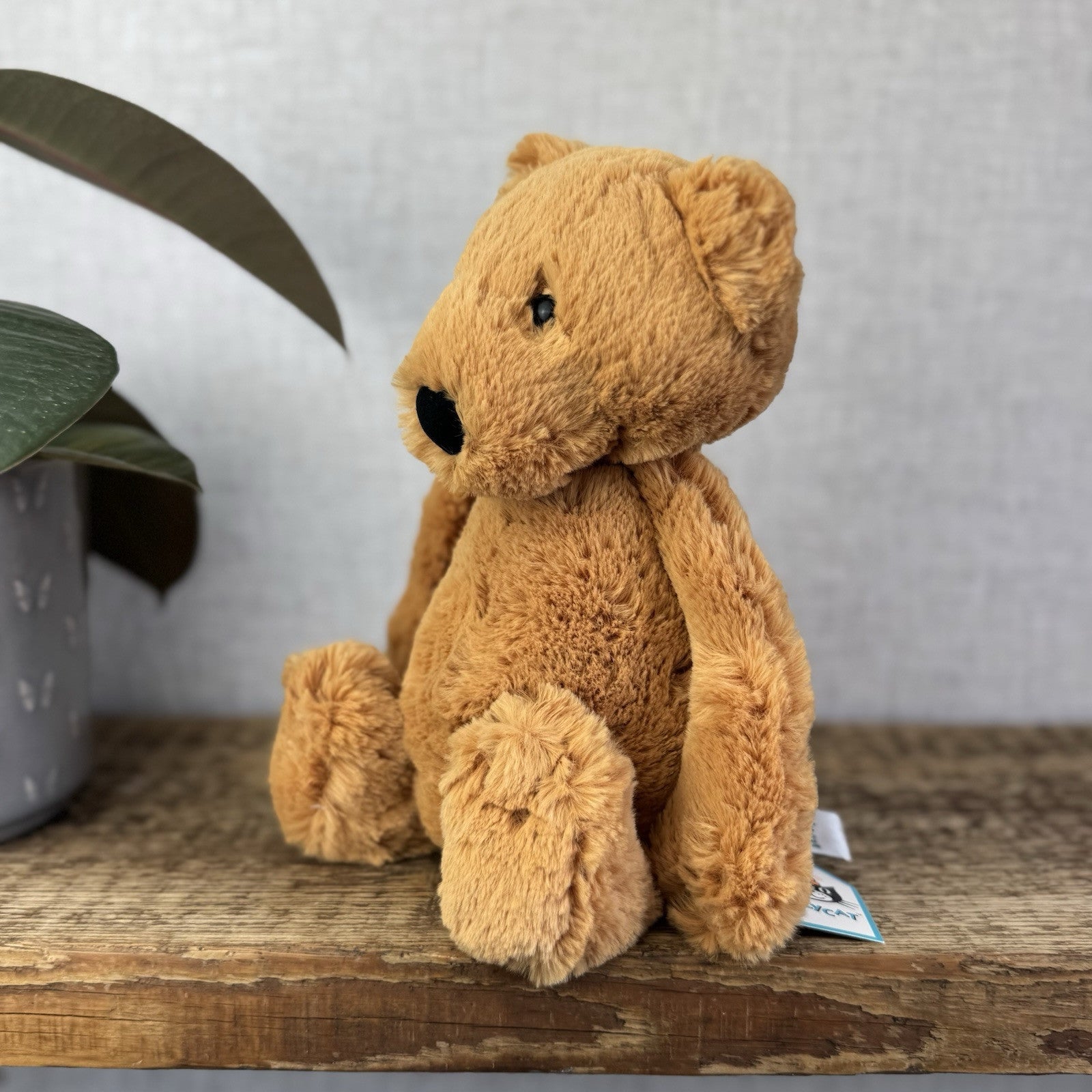Jellycat Bashful Bear - Medium Brown Bashful Bear - Retired Bear With Tags 12”