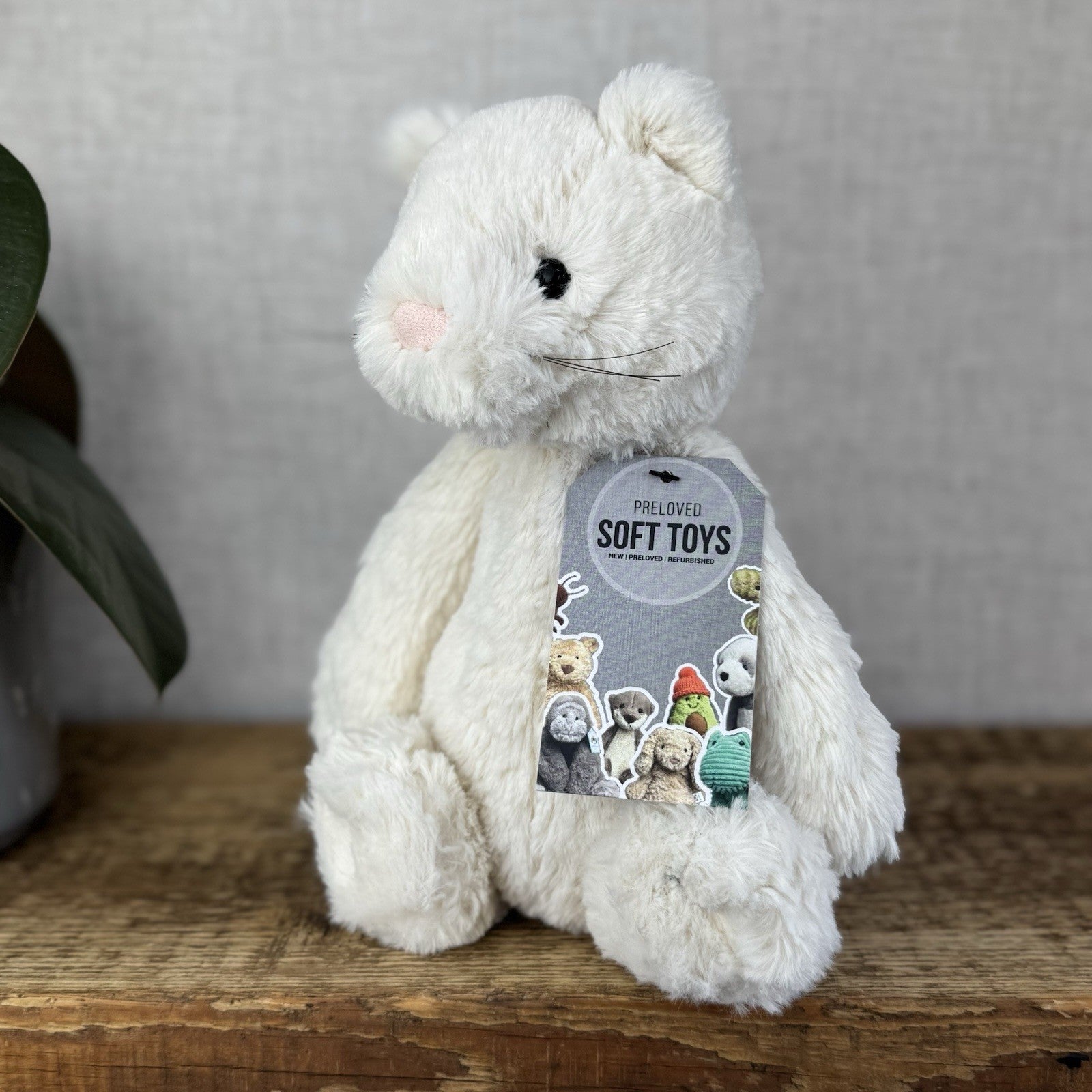 Jellycat Medium Bashful Cream Cat Kitten - Cream Cat With Whiskers Retired 12”