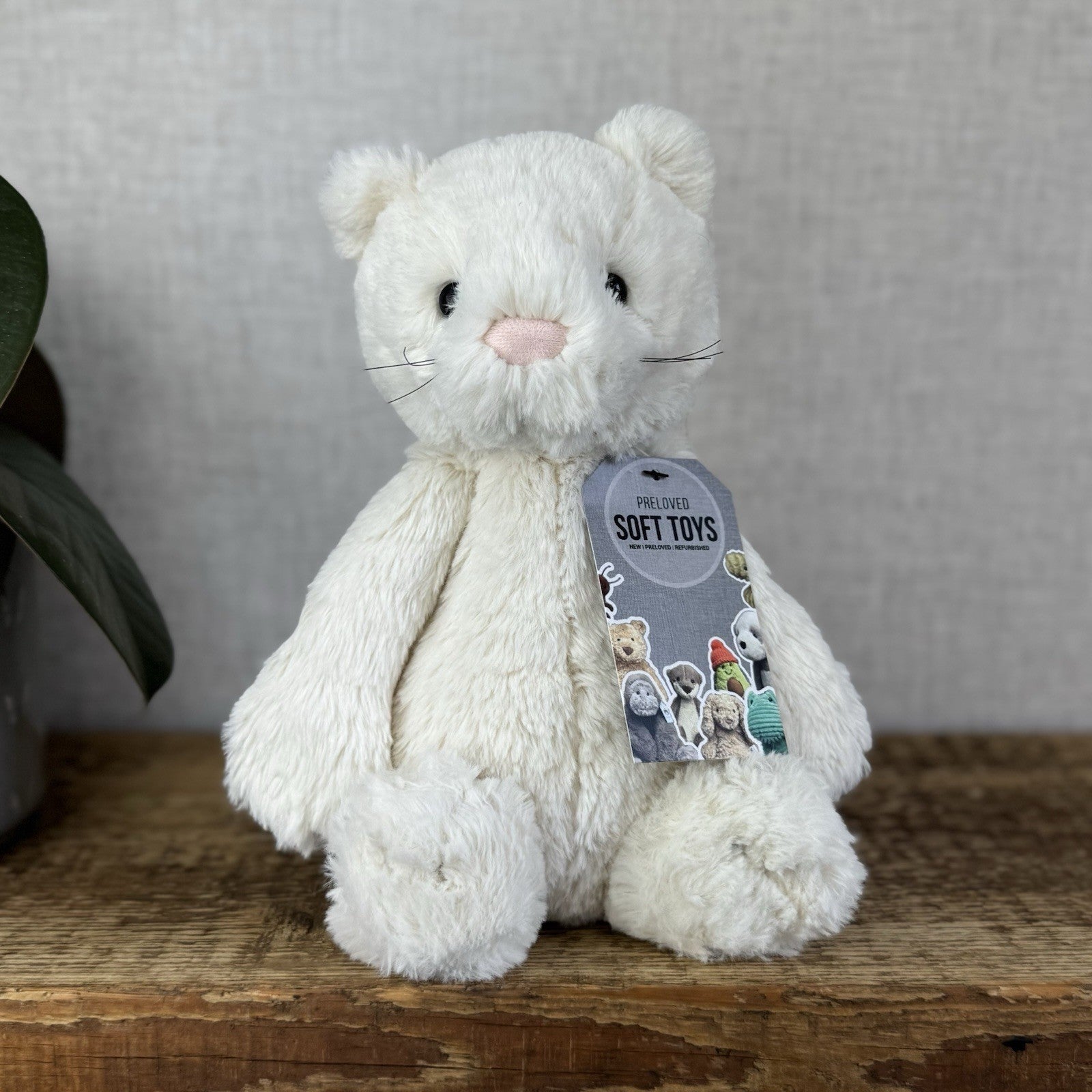 Jellycat Medium Bashful Cream Cat Kitten - Cream Cat With Whiskers Retired 12”