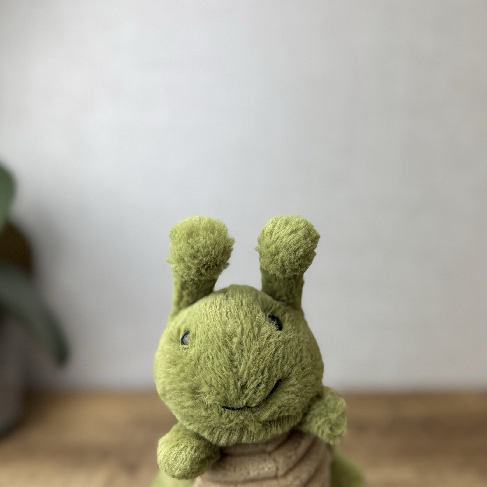 Jellycat Christopher Caterpillar Soft Toy Green Caterpillar Bug Soft Beanie 12”