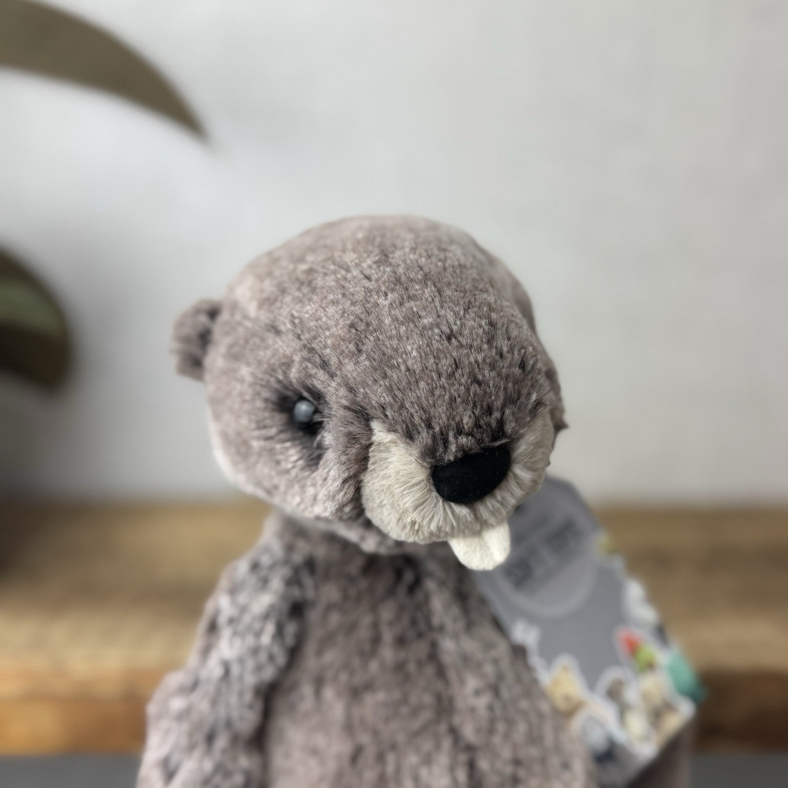 Jellycat Medium Bashful Marmot - Woodland Grey/brown Mix Cottontail Plush 12”