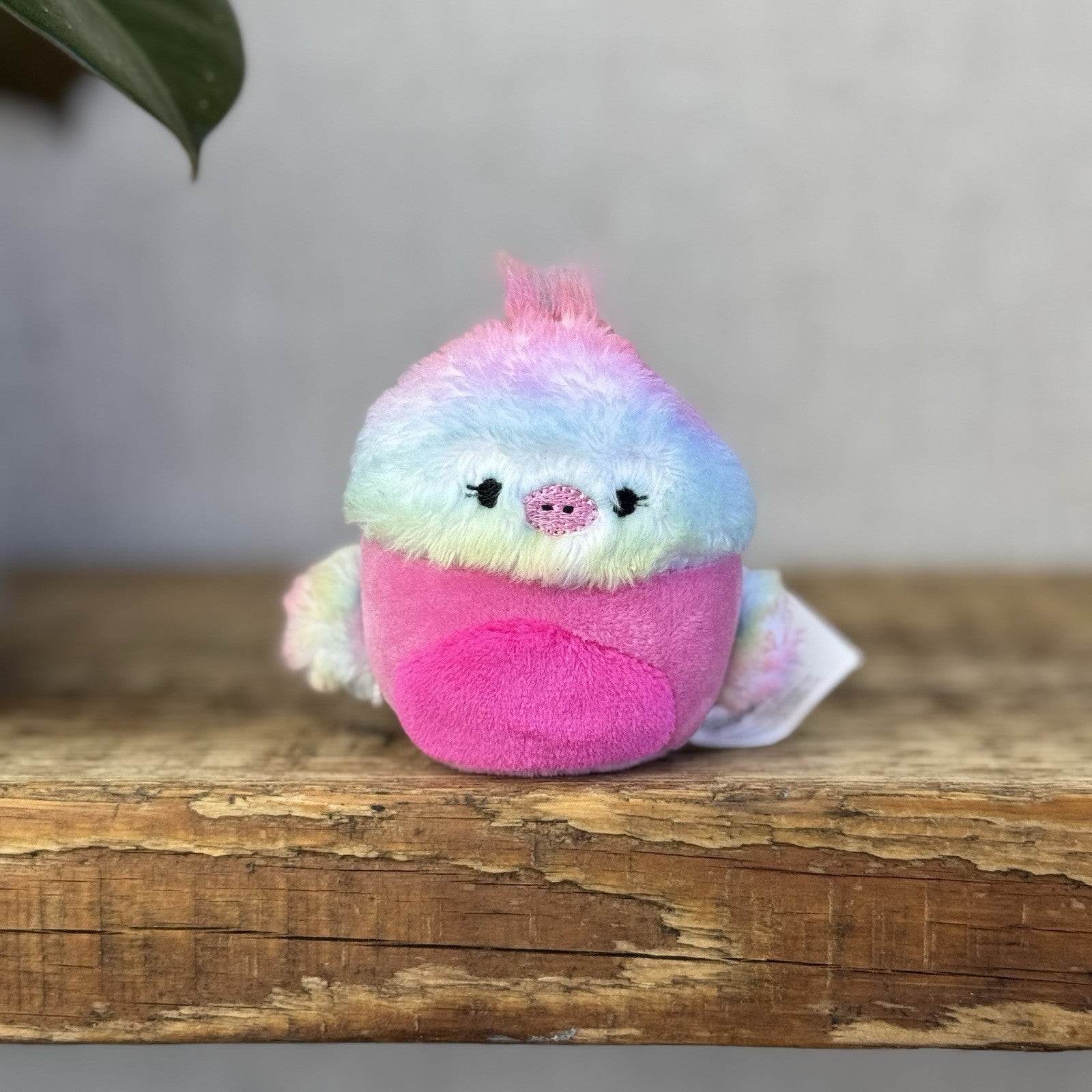 Squishmallow Squishville Pick List - Tiny Squishmallow Collectibles Retired 2"