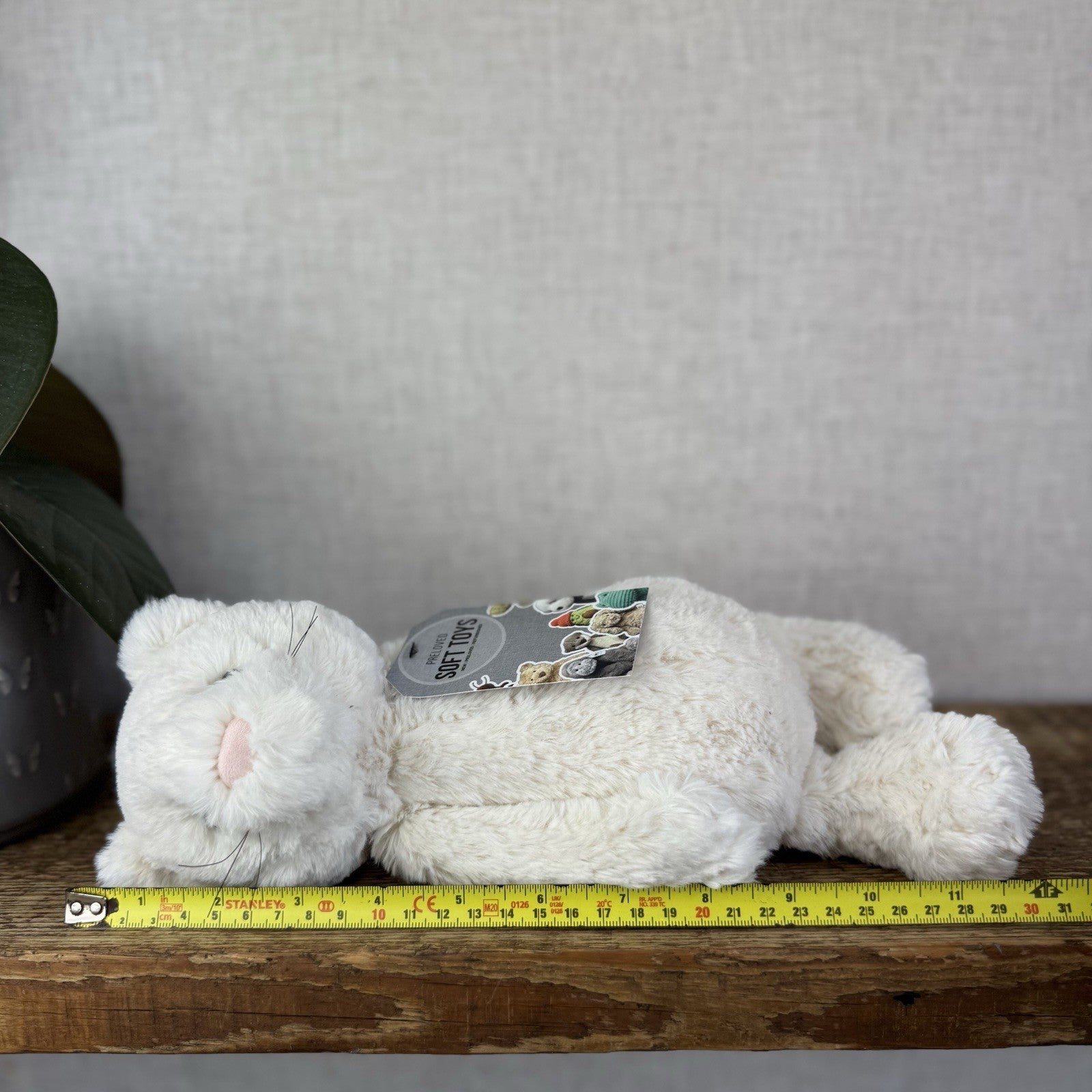 Jellycat Medium Bashful Cream Cat Kitten - Cream Cat With Whiskers Retired 12”