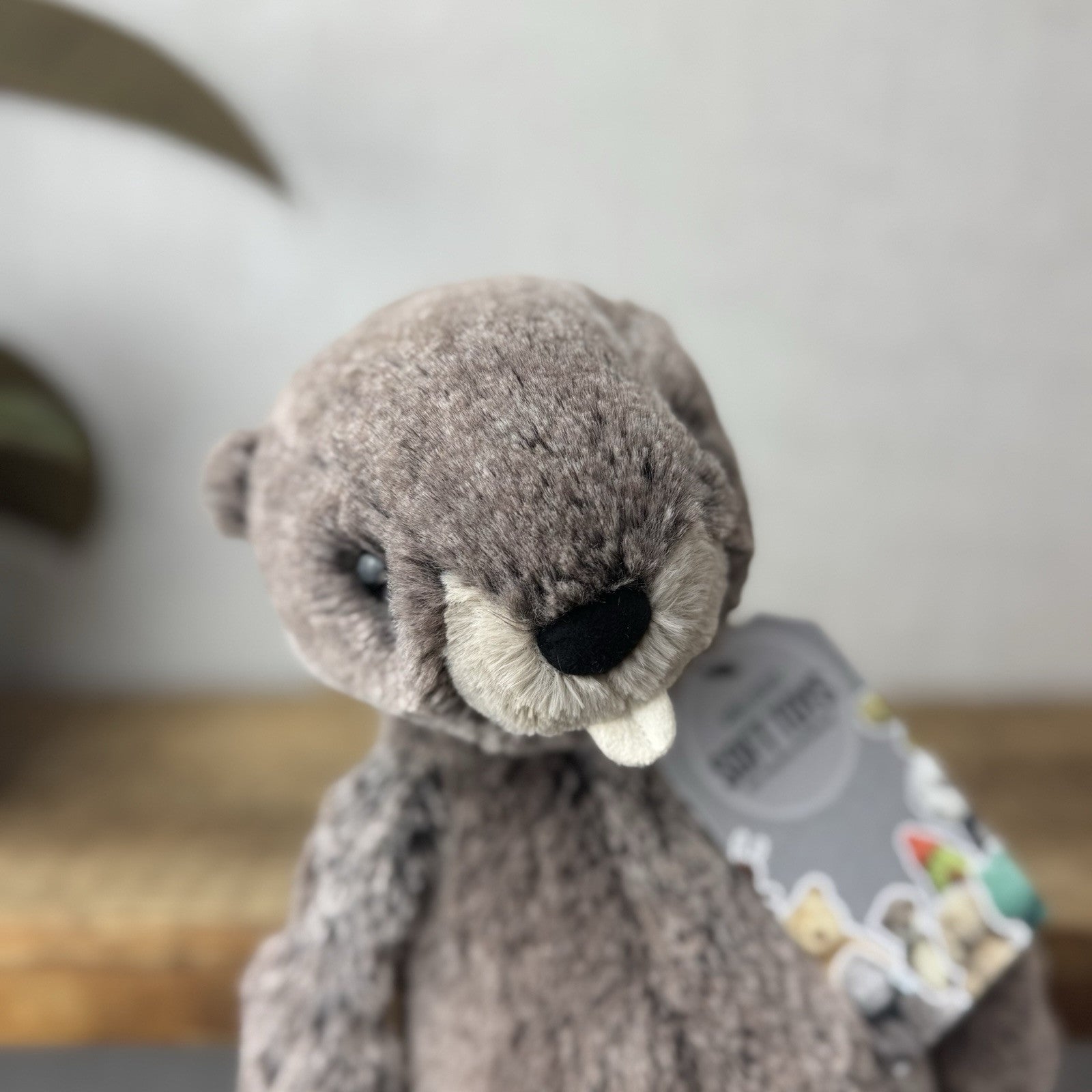Jellycat Medium Bashful Marmot - Woodland Grey/brown Mix Cottontail Plush 12”