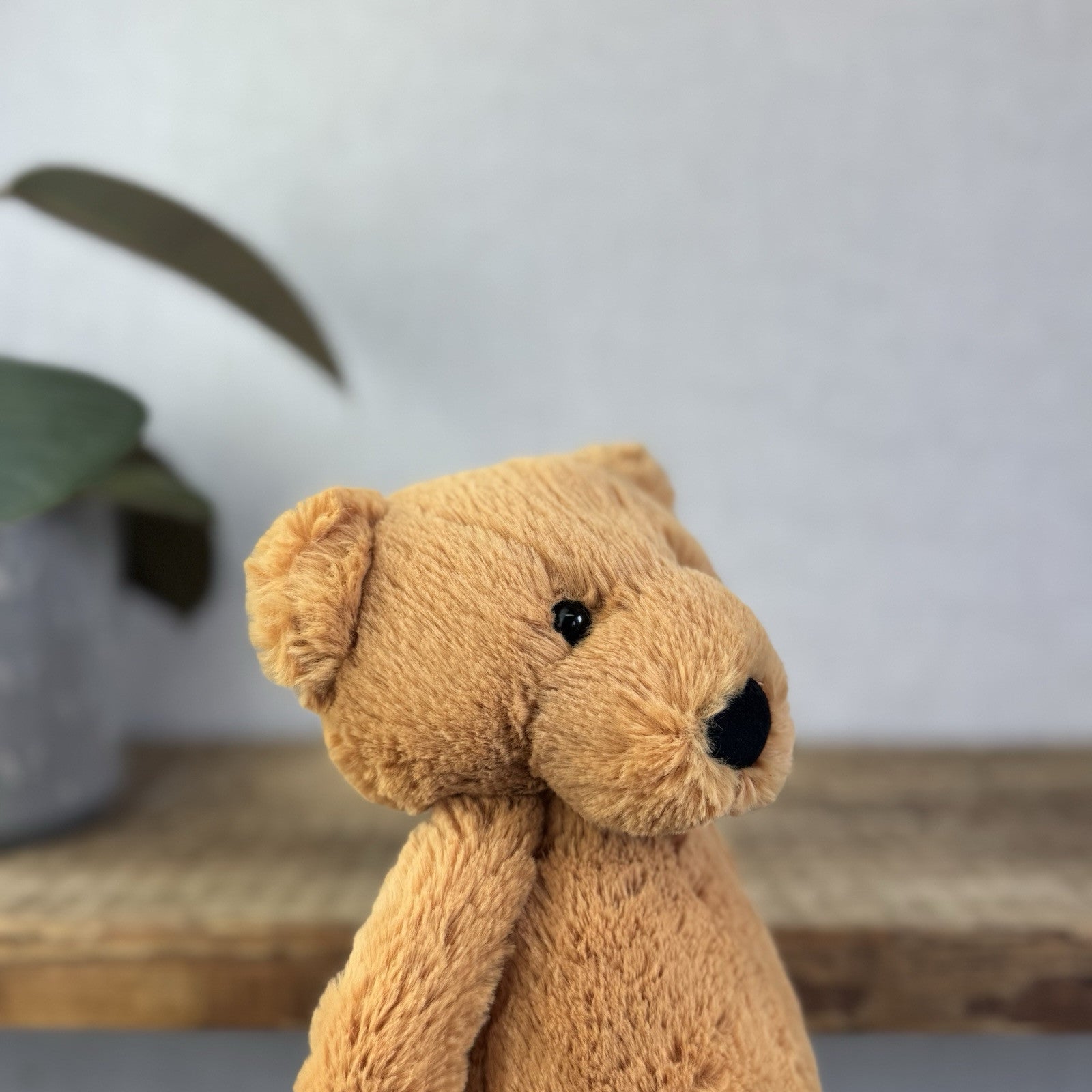 Jellycat Bashful Bear - Medium Brown Bashful Bear - Retired Bear With Tags 12”
