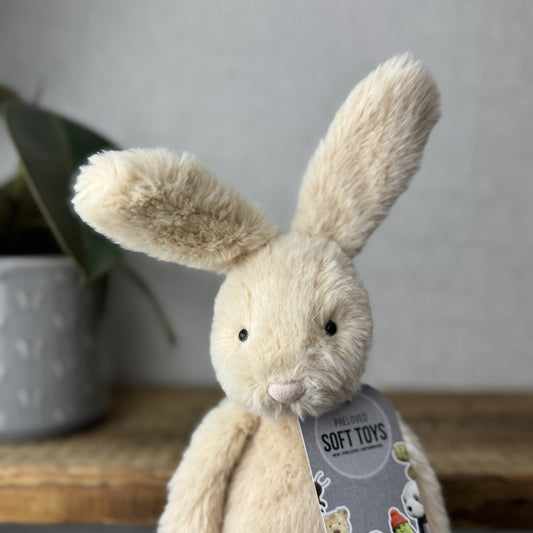 Jellycat Sweetie Bunny - Jellycat Fluffy Bunny Medium Rare Retired 12” (#2)