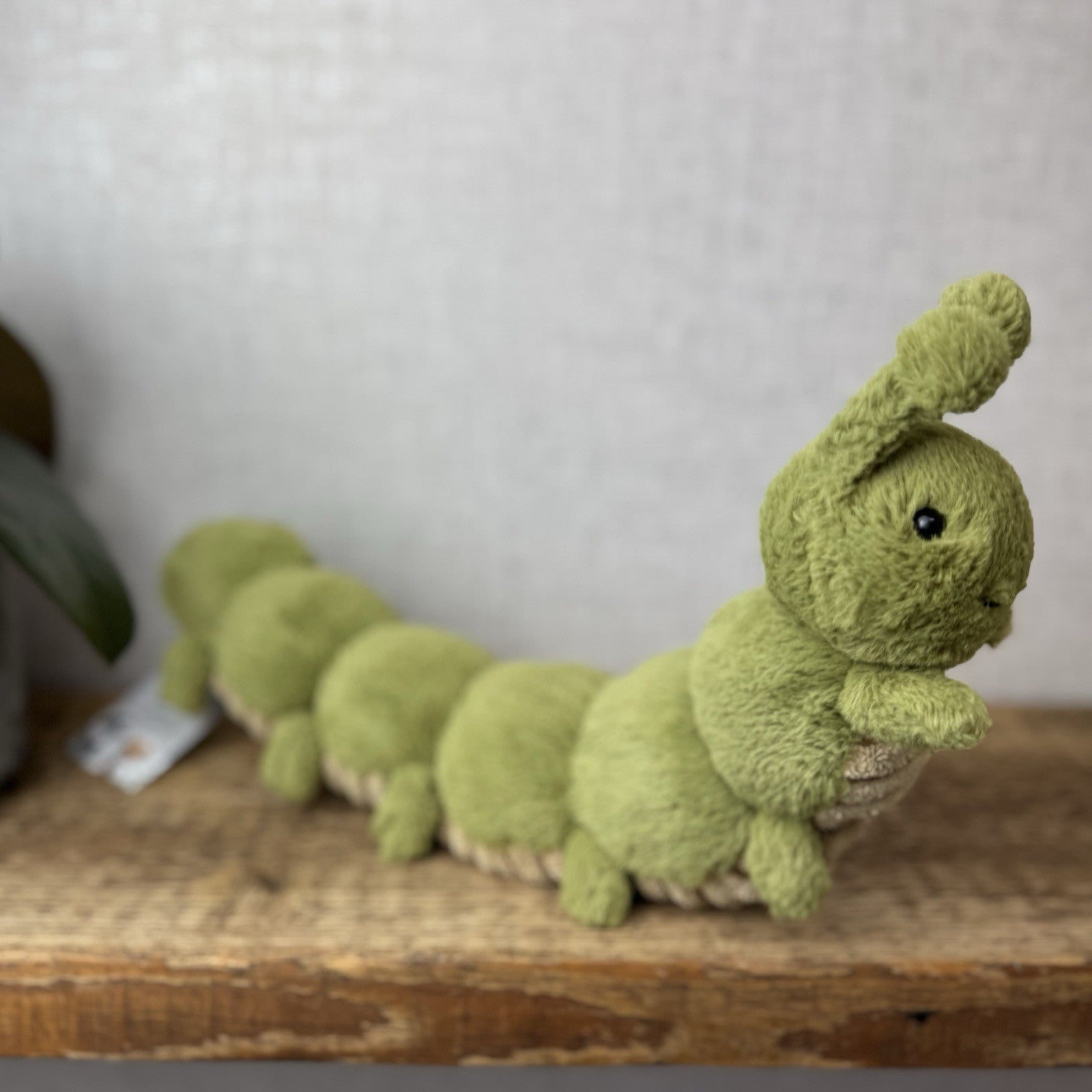 Jellycat Christopher Caterpillar Soft Toy Green Caterpillar Bug Soft Beanie 12”